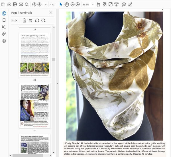 The Beautiful Leaf Guide - Image 4