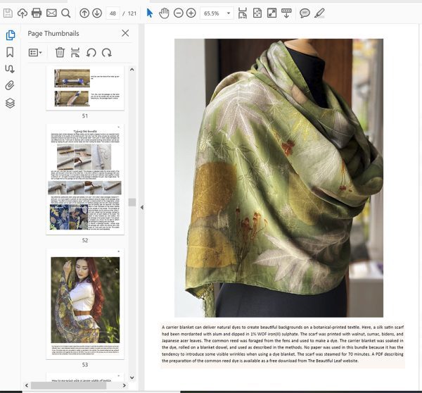 The Beautiful Leaf Guide - Image 5