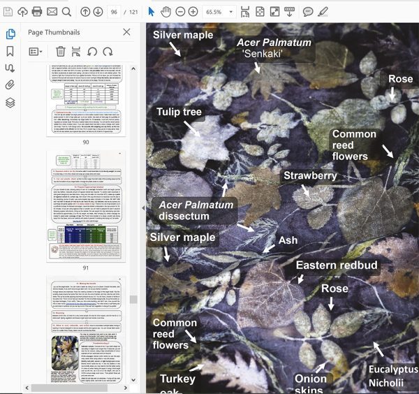 The Beautiful Leaf Guide - Image 6