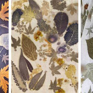 Botanical printing weekend workshop at Westonbirt arboretum Oct 24/25th 2026 10-4pm
