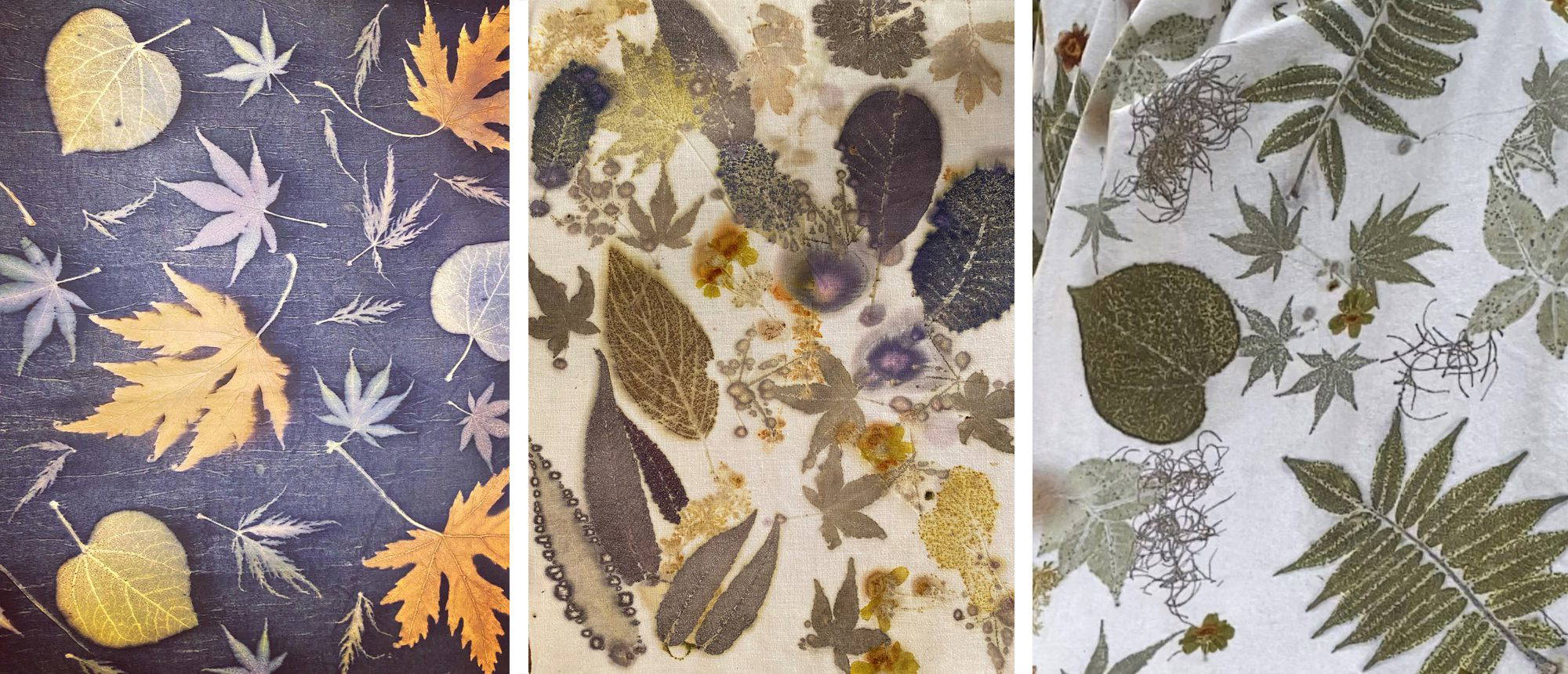 Botanical printing weekend workshop at Westonbirt arboretum Oct 24/25th 2026 10-4pm
