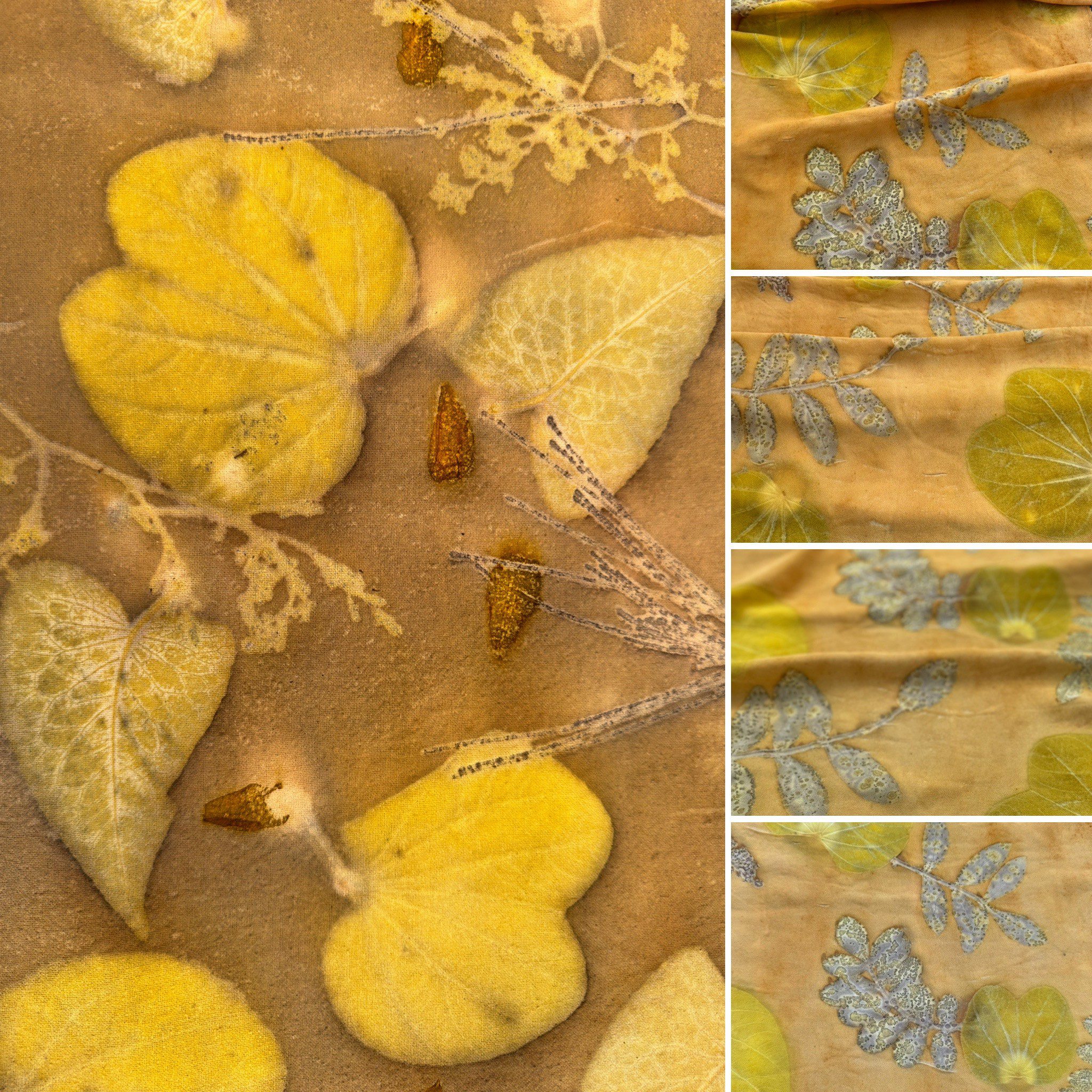 Tannin and Dyes in Botanical printing